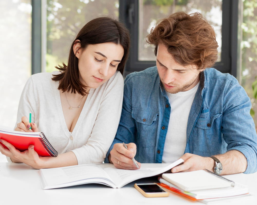 Assignment Help Sydney: The Guide No One Hands You on Orientation Day